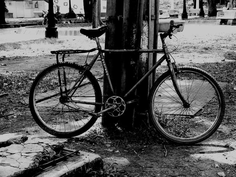 Bicicleta al tronco, Fotografía de Chalo Rojas